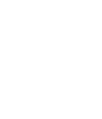 The Spirit Squad: Spirit Electronics Sales Partners